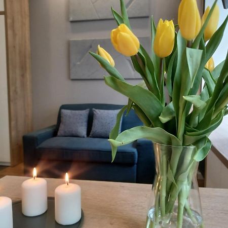 Apartament Piotrkowska 37 Studio ウッチ エクステリア 写真