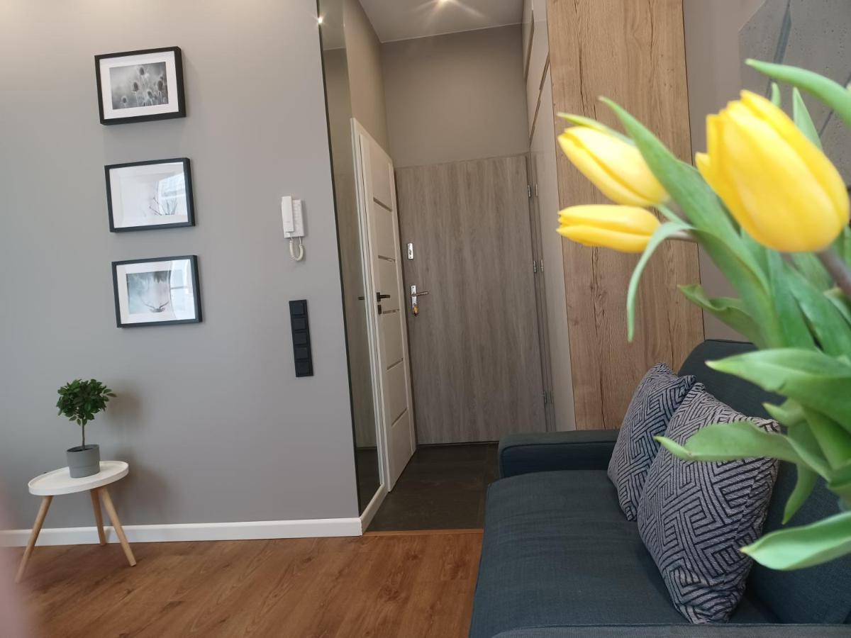 Apartament Piotrkowska 37 Studio ウッチ エクステリア 写真