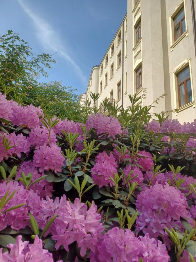 Apartament Piotrkowska 37 Studio ウッチ エクステリア 写真